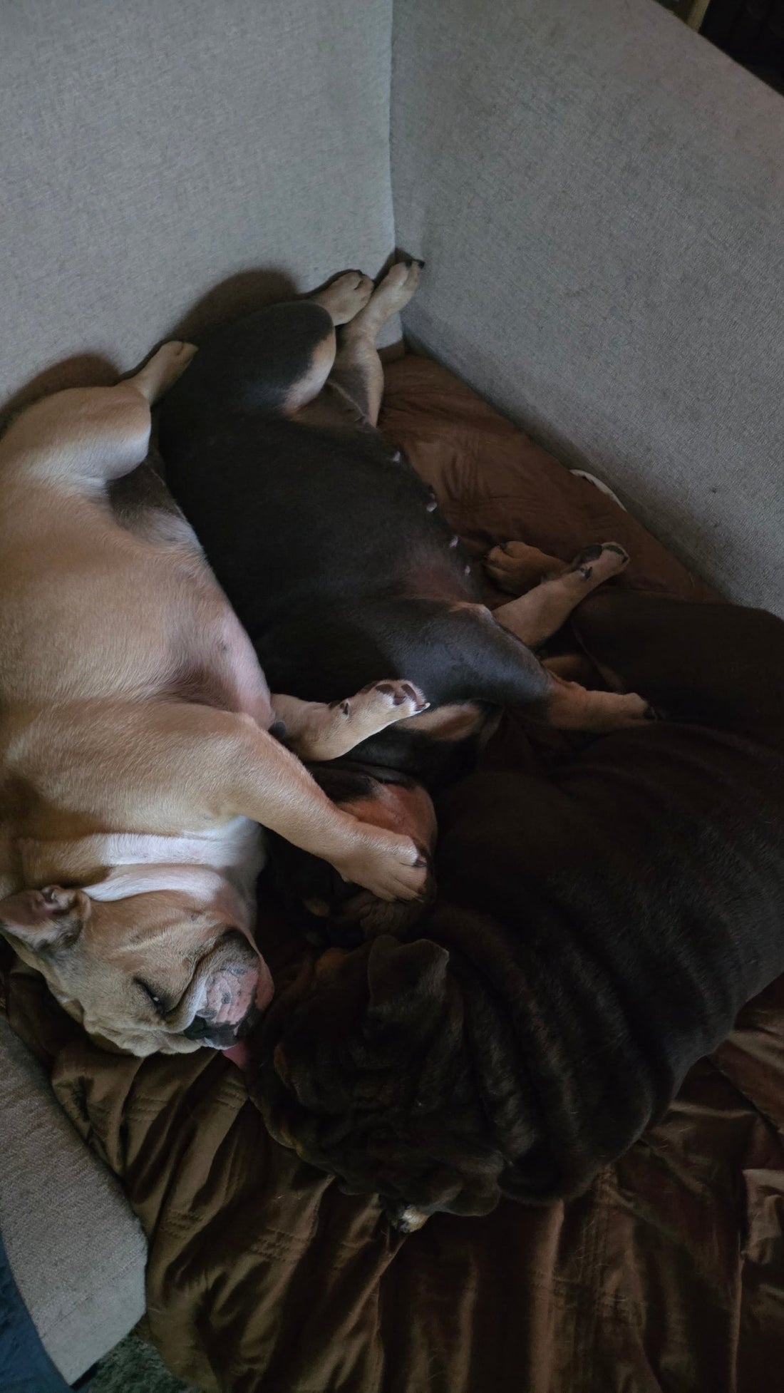 Issue #7 — They're Not Spoiled.