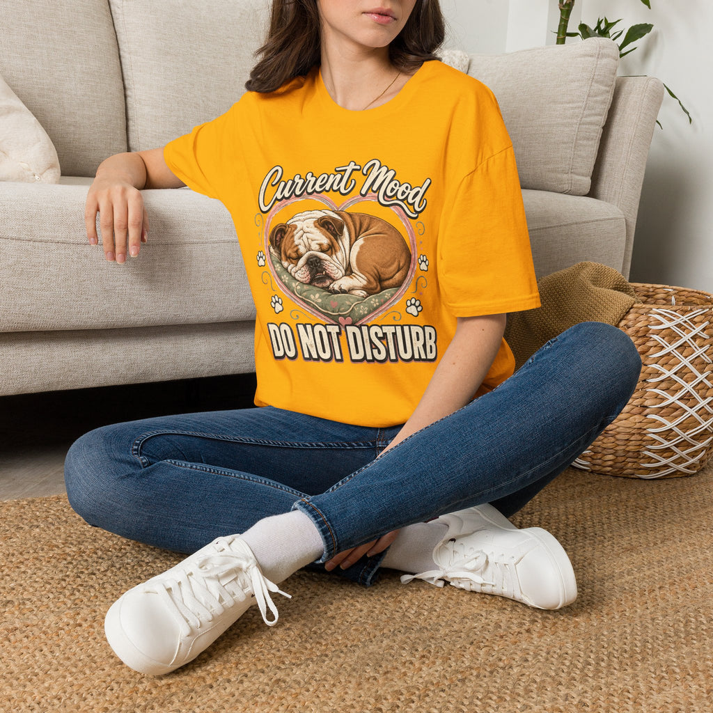 do not disturb T-Shirt